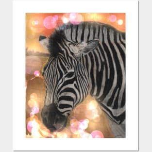 Zebra Posters and Art